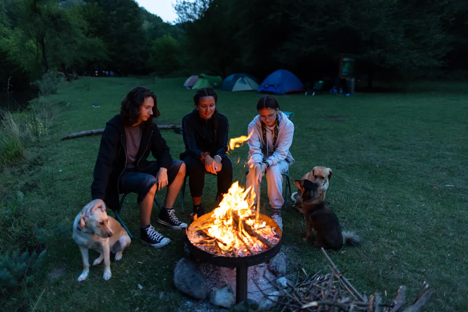 Three friends, teenagers are sitting around a campfire at dusk. They are talking and having fun. Their three dogs are with them.