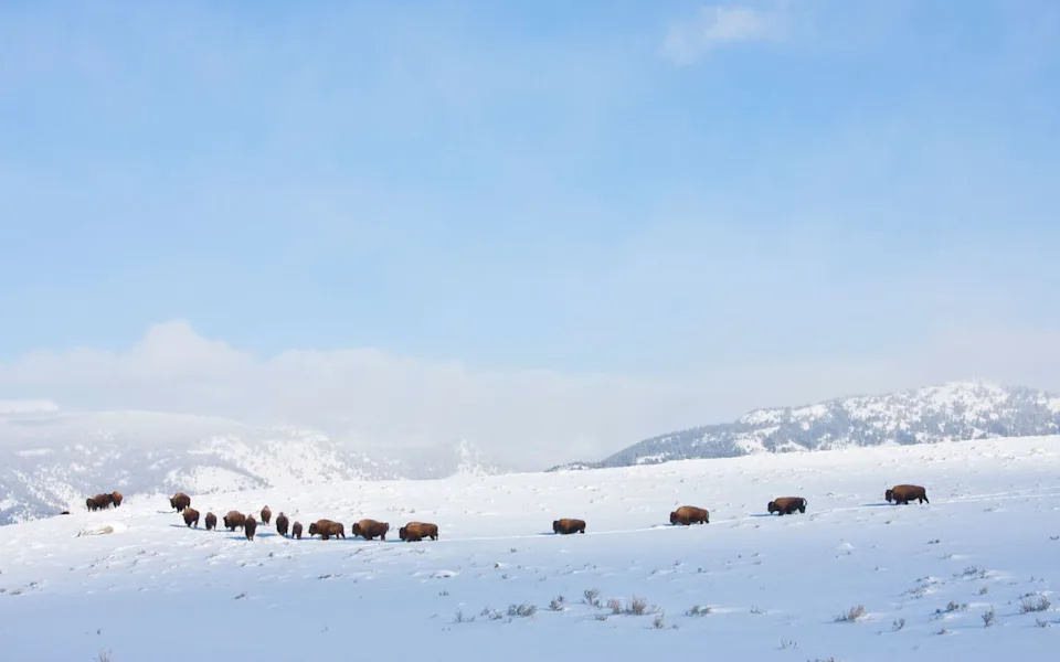 Getty Images/Gallo Images