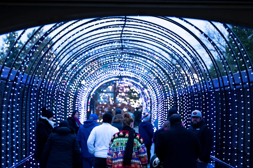 People walk under a archway of lights before getting to the entrance during the PNC Festival of Lights at the Cincinnati Zoo and Botanical Garden.