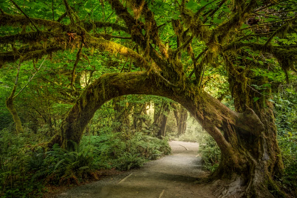 Photo by Cavan Images / Shawna Kozel on Getty Images