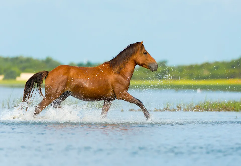 Photo by jared lloyd on Getty Images