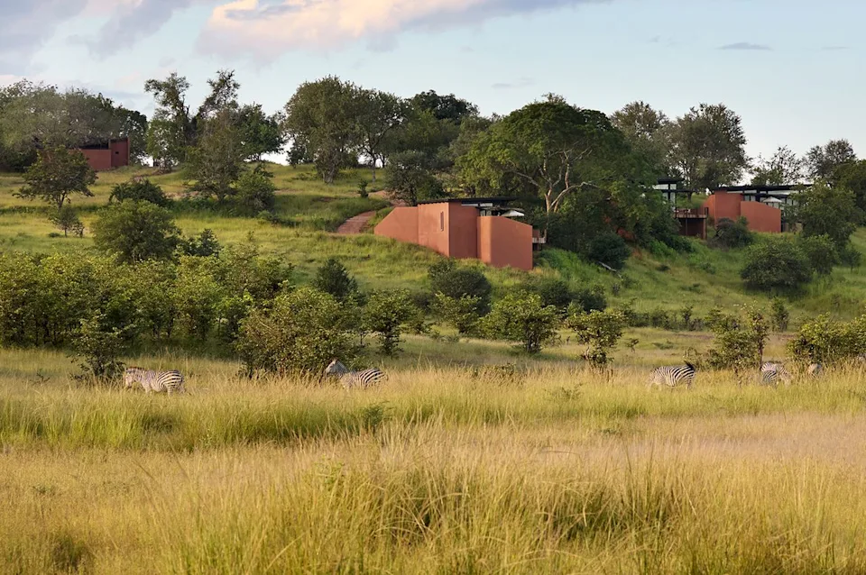 Elsa Young/Chichele Presidential Lodge Zambia Zebras outside the Vista Suites.