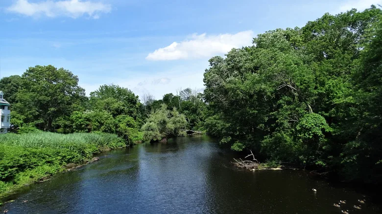 Pompton River with greenery on both banks