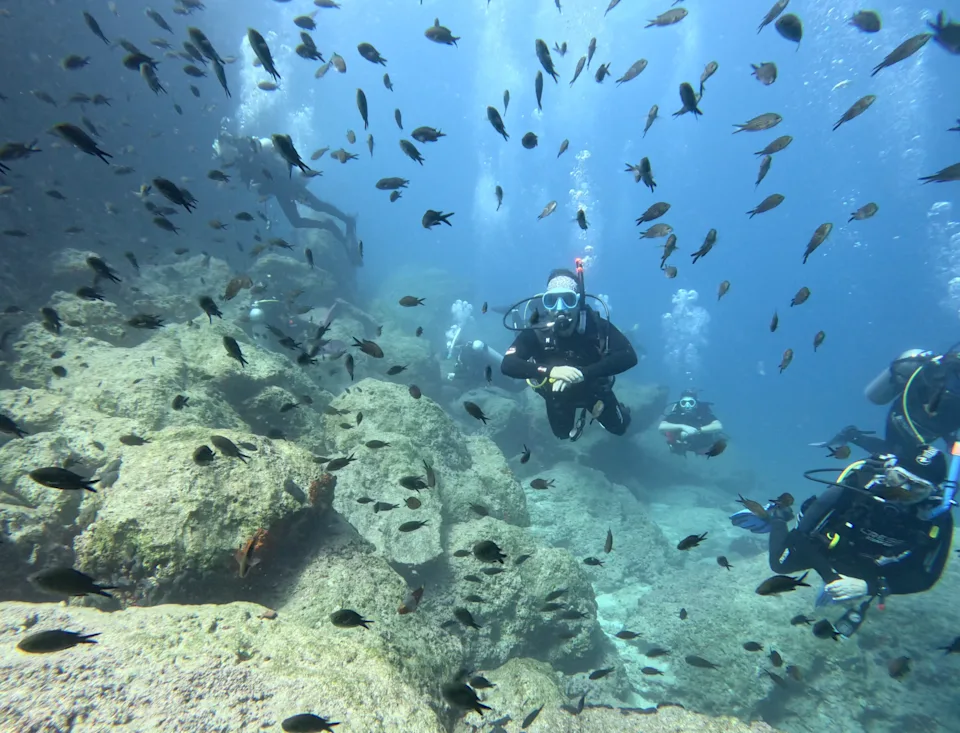 Scuba diving in Greece