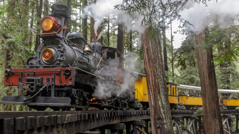 Roaring Camp steam train in the redwood forest in the Santa Cruz Mountains