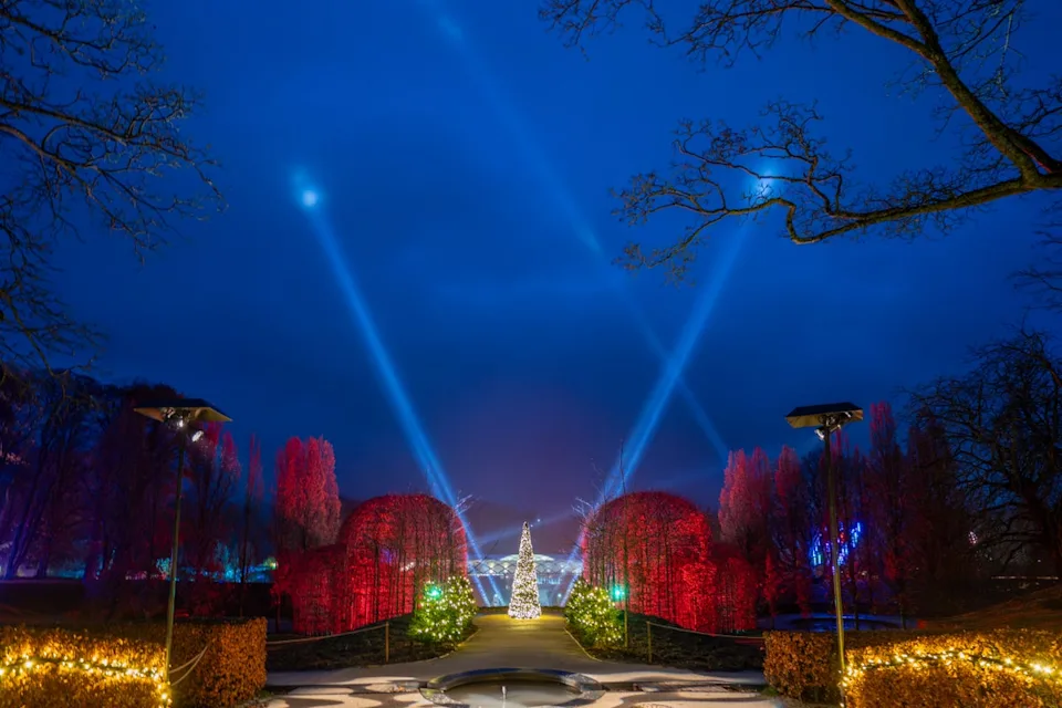 Be amazed by the light trail at Alnwick Garden (Jane Coltman)