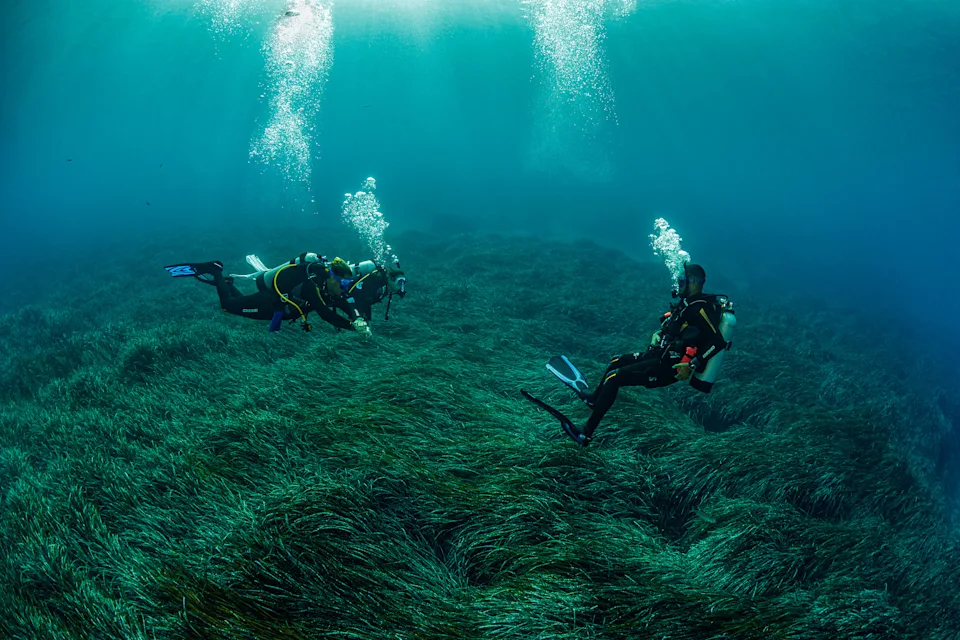 The most underrated scuba destination in Europe? Go to Greece