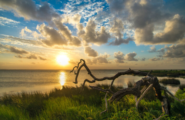 Popular family vacation spot dubbed one of the most beautiful trending destinations in the U.S.