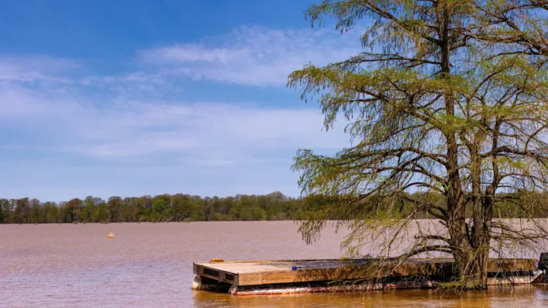Tennessee’s Largest Natural Lake Is A Wildlife Wonderland With A Fishing Lodge And Stunning Scenery