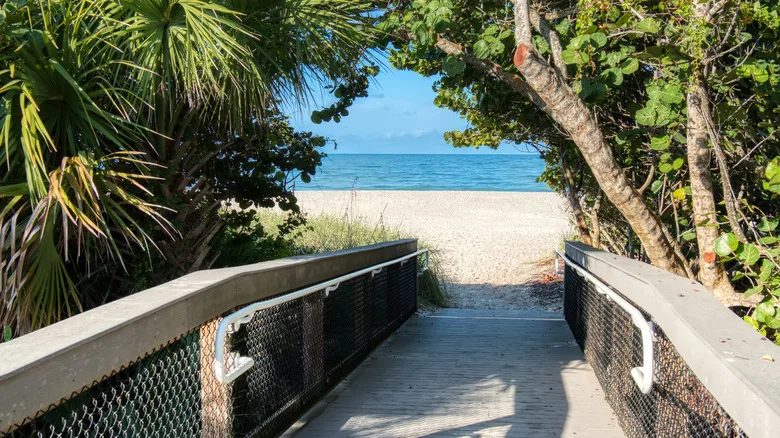 A tree-shaded walkway to Nokomis Beach