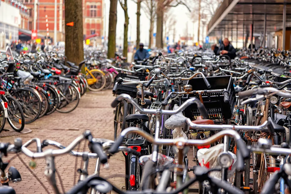 Numerous bicycles are parked closely together along a city sidewalk, reflecting a widely-used mode of transportation in this urban setting