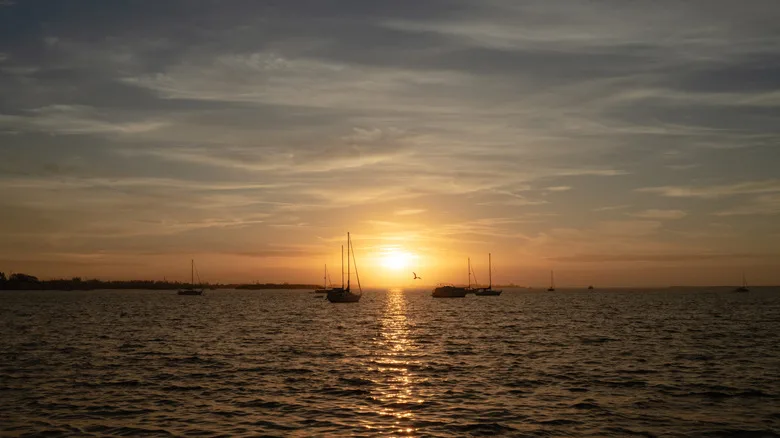 sunset behind boats on Palma Sola Bay