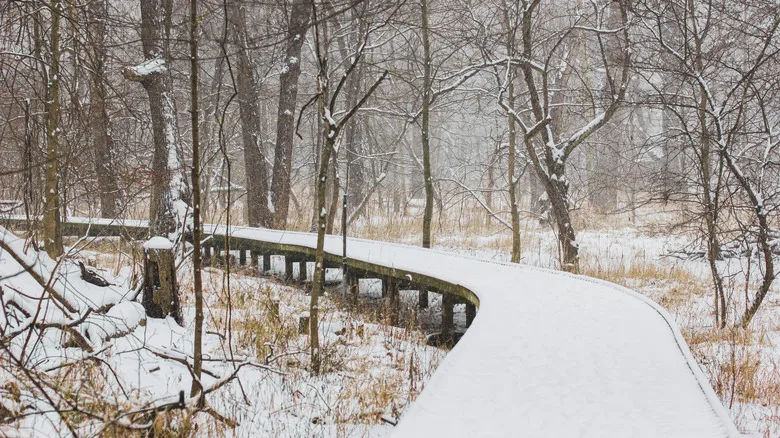 Snow on a boardwalk in Toledo, Ohio