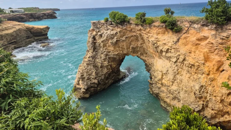 Encounter Colorful Marine Life At A Must-Visit Secluded Caribbean Destination
