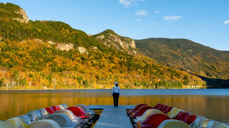 Docked paddle boats at Echo Lake State Park in New Hampshire