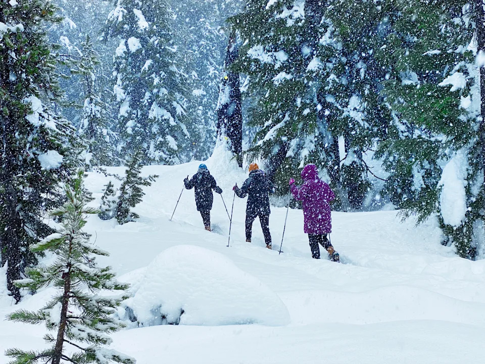 Three people bundled in snow gear snowshoe in a forest as snow falls around them.