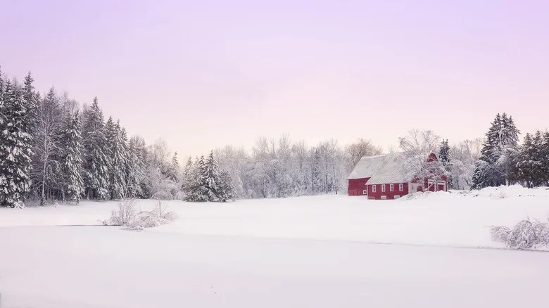 Snowy landscape in northern Maine