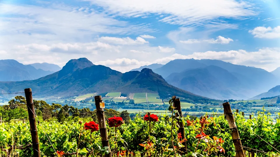 Franschhoek