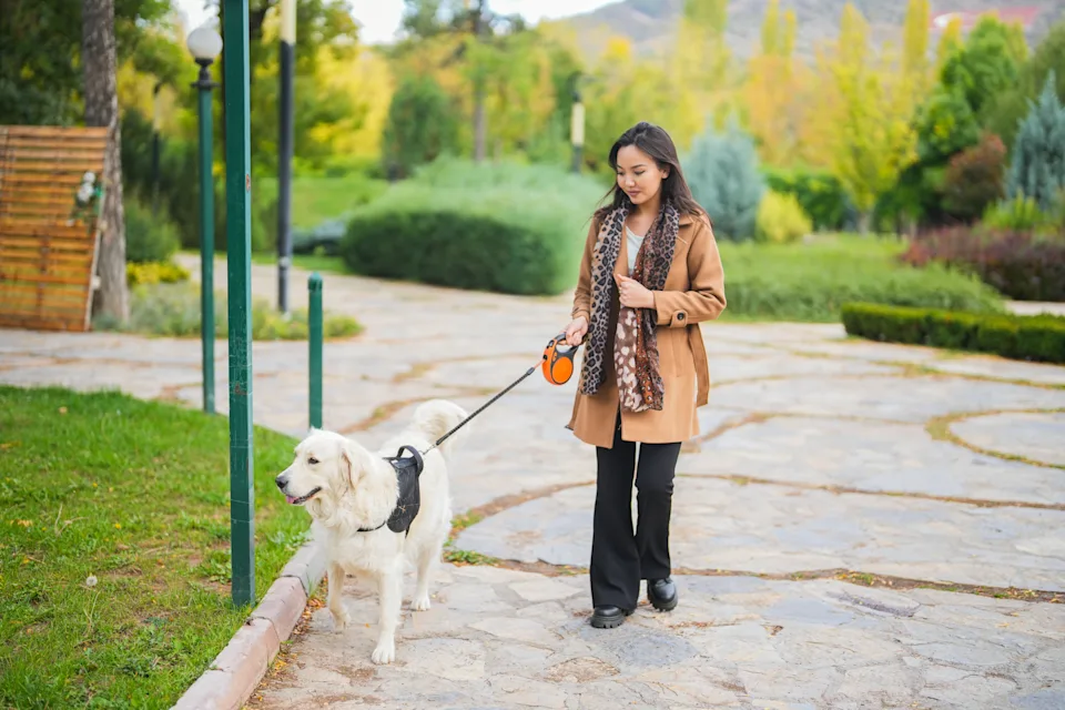 Young woman walking her golden retriever dog in a green park on an autumn day