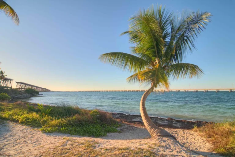 This Tranquil Florida State Park in the Keys Has White-sand Beaches, Crystal Waters, and Stargazing Under Dark Skies