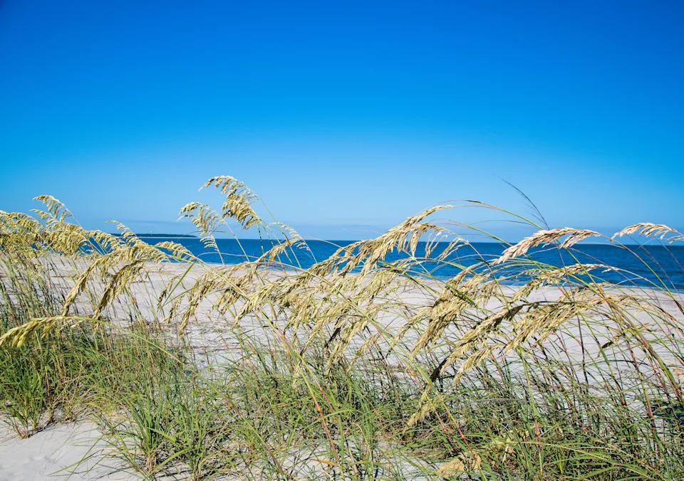 The views and random finds on Daufuskie Island