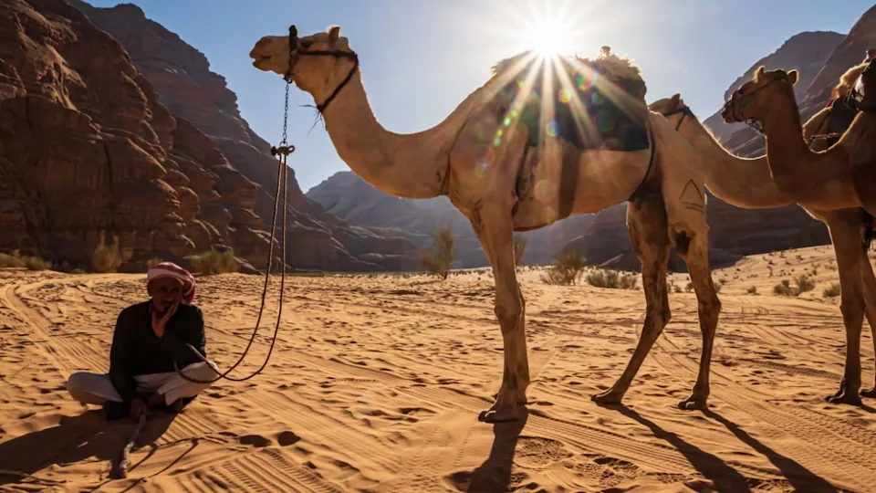 Wadi Rum, Jordan - Oct 20, 2023: Camel and Bedouin in the Wadi Rum desert, Jordan, officially the Hashemite Kingdom of Jordan, Southern Levant region, West Asia