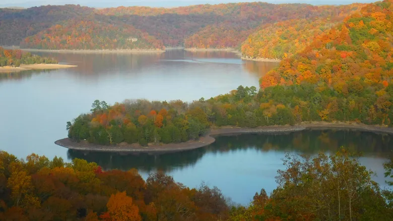 Aerial shot of Dale Hollow Lake and its clear waters and trees in fall