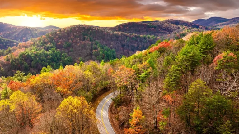Top U.S. States for Scenic EV Road Trips This Fall