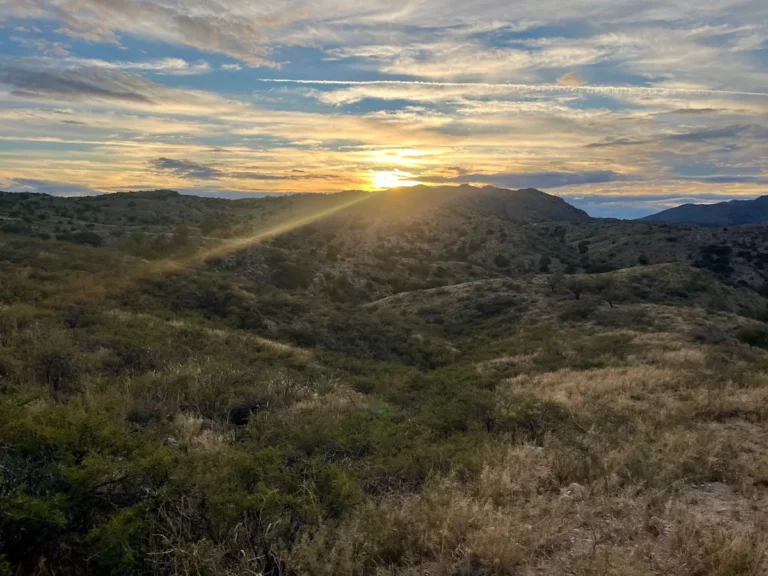 This Arizona ZIP code is among the most popular US places to move