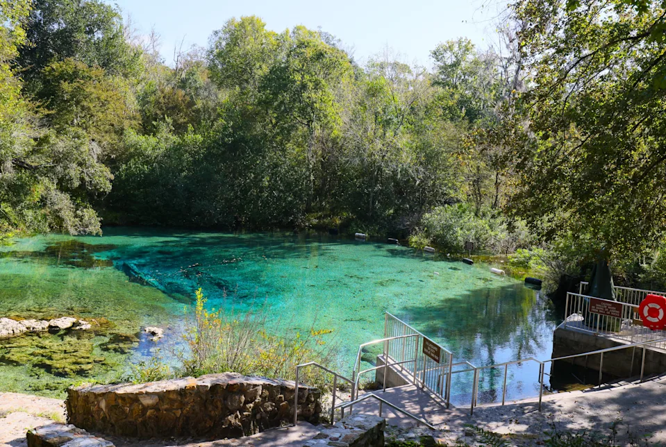 The swimming area near the picnic area is open for swimming but not for diving at the north entrance of Ichetucknee Springs State Park in Fort White. Blue hole is a half-mile walk from the parking area and offers a lovely swim and exciting dive for those with the right training.