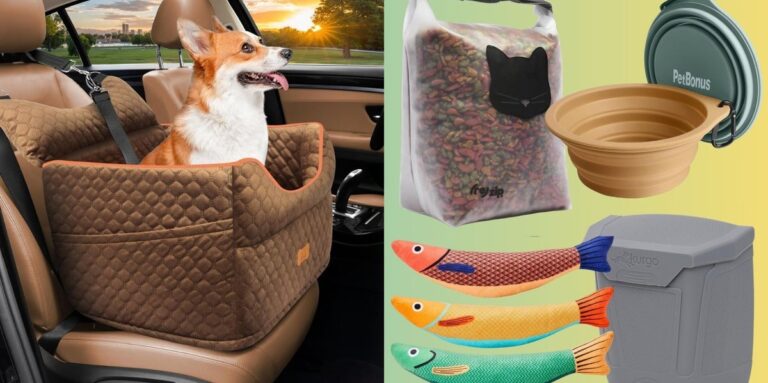 Road Tripping With Your Pet? These Travel Essentials Make It Easy