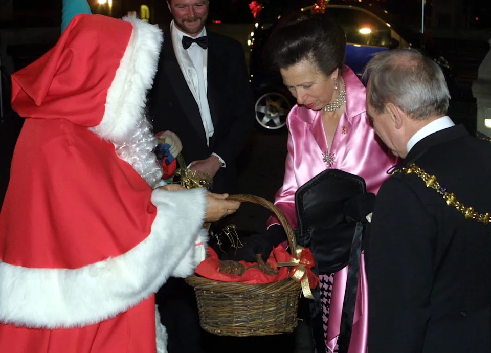 Princess Royal Festival Of Trees