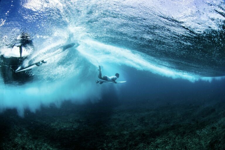 Searching for Places That Give Back to the Ocean? This List Will Surprise You