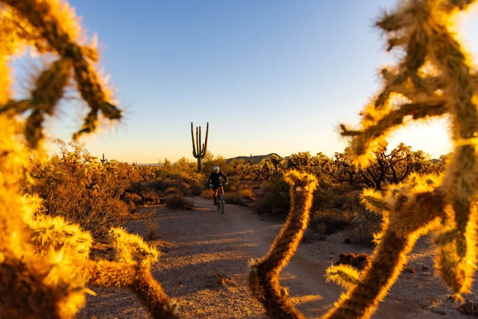 a mountain biker rides through the desert trail