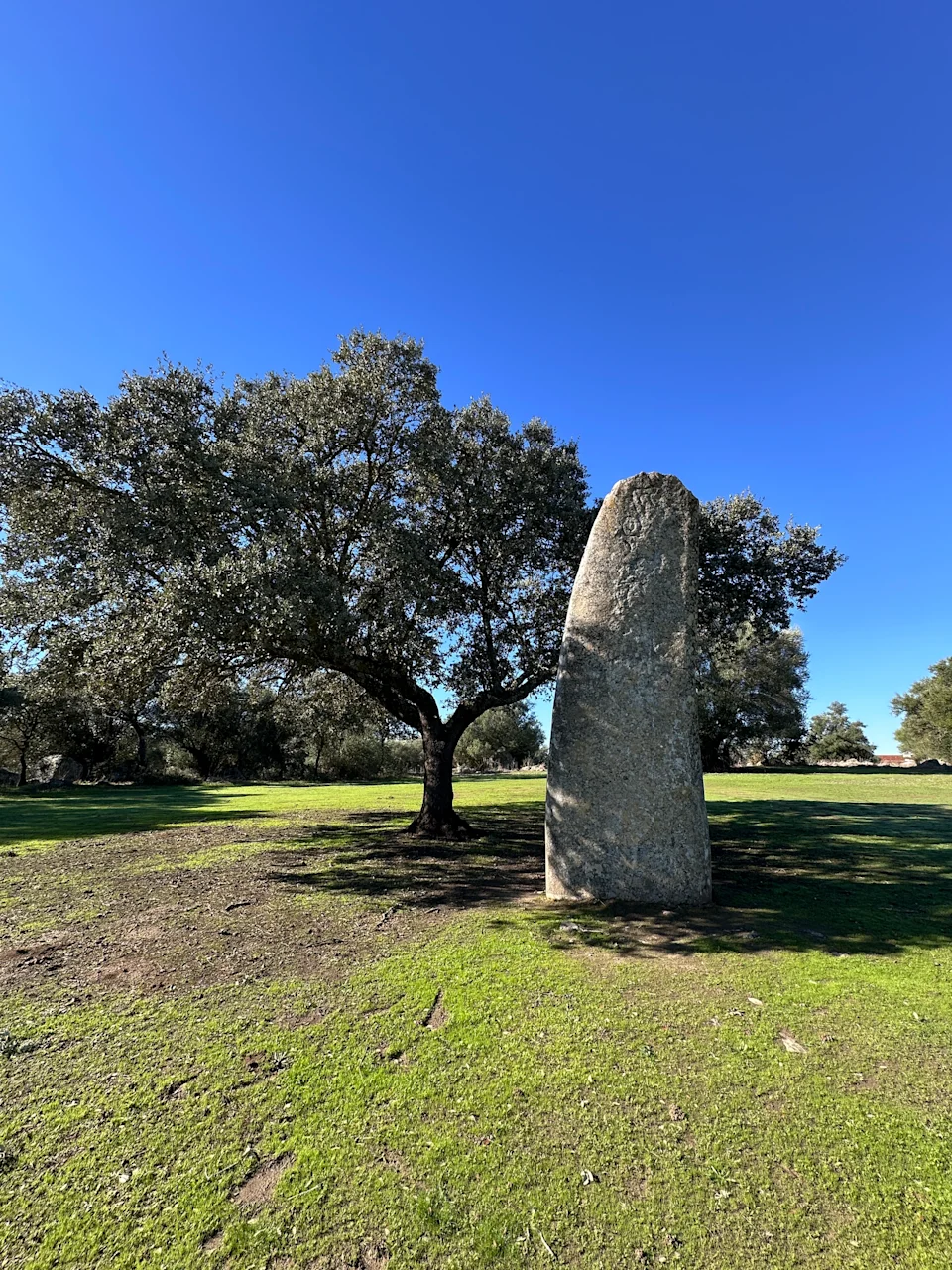 Sao Lourenco do Barrocal estate monolith