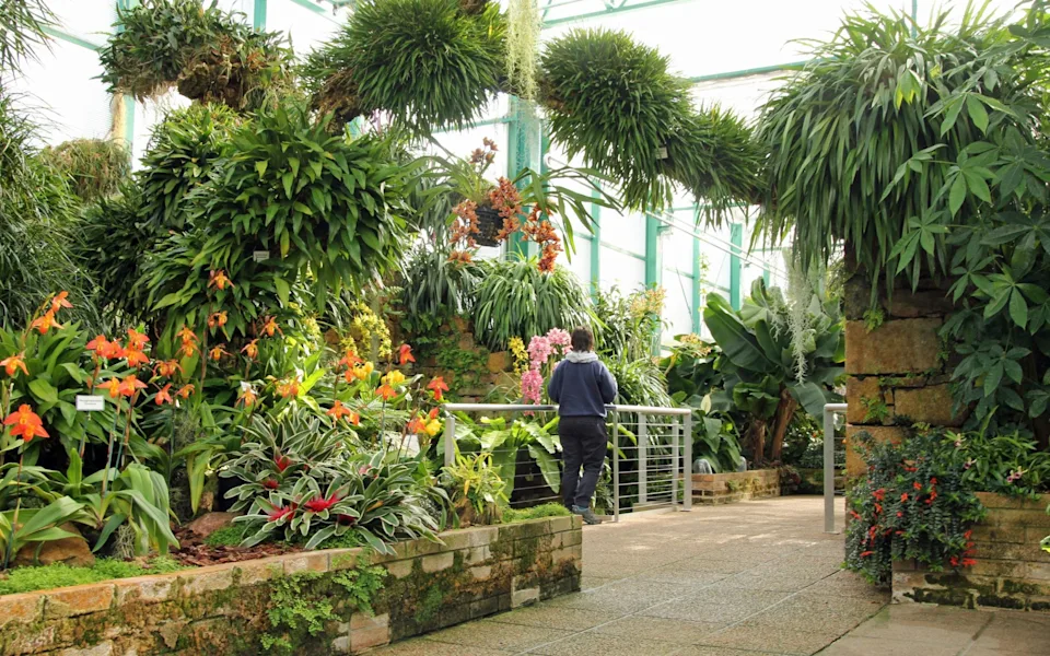 Eric Young Orchid Foundation; Jersey things to do