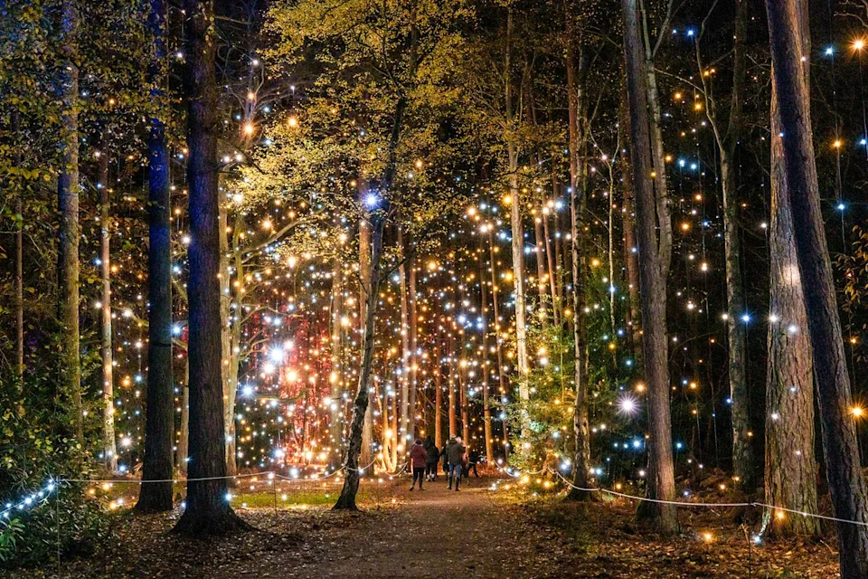 Wander the twinkling royal parklands at Sandringham (Gary Pearson Photography)