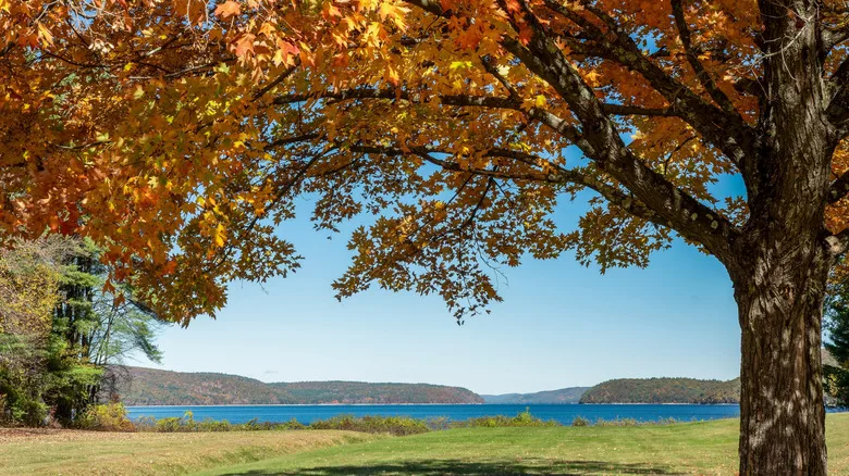 autumn foliage at Quabbin Reservoir near Ware, Massachusetts
