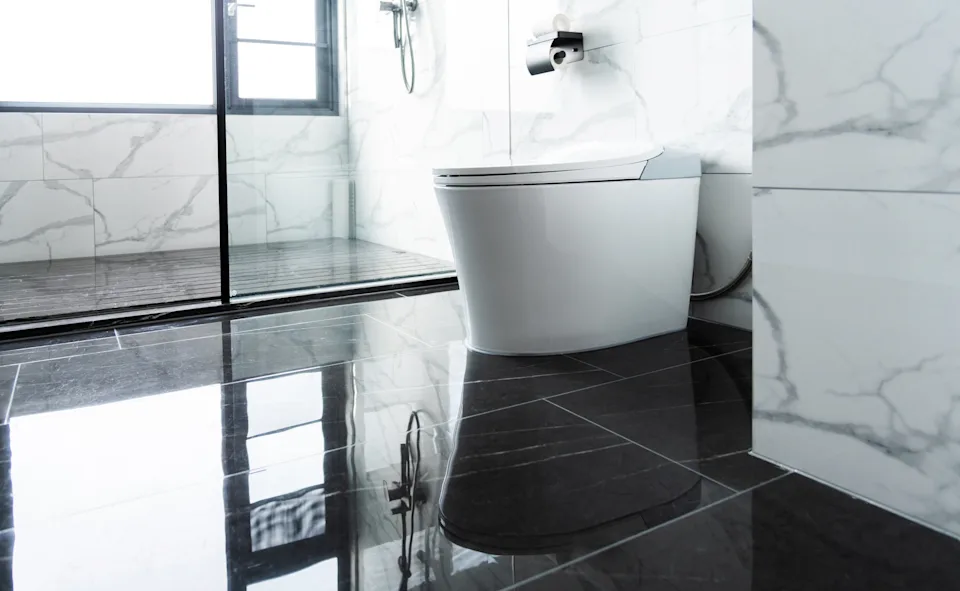 Modern bathroom with toilet bowl and shower room