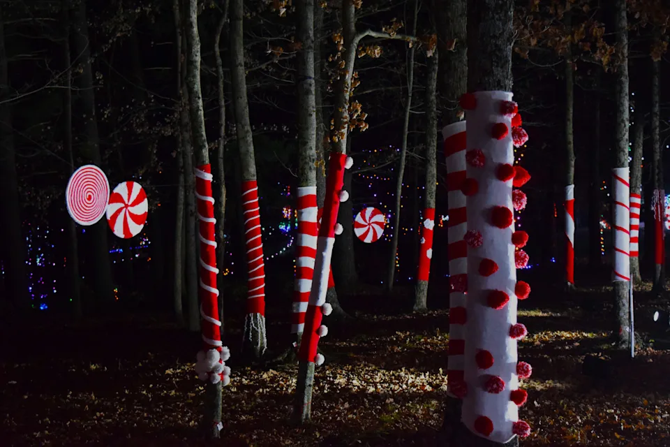 Pyramid Hill Lights opens for the season Nov. 15. Pictured: The Bombshells of Cincinnati have yarn-bombed Candy Cane Lane.