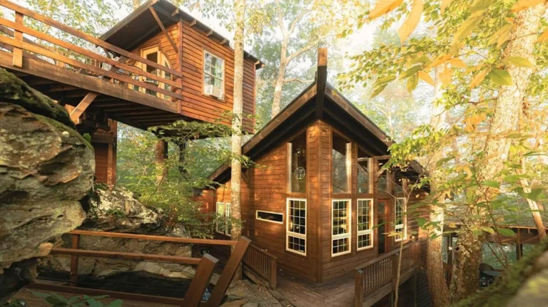 This Custom Red River Gorge Cabin Boasts A Treehouse, Observatory, And Koi Pond For The Ultimate Escape