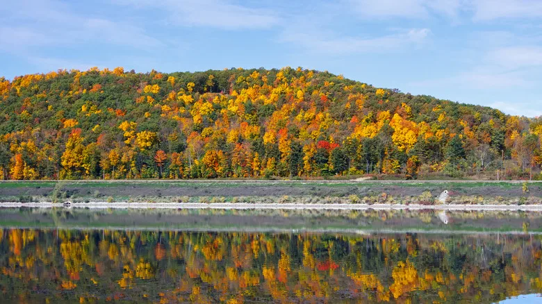 Fall colors at Hammond Lake, Tioga, Pennsylvania