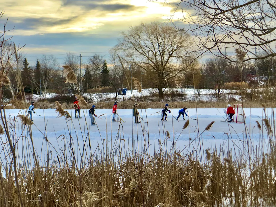 A Group of Kids Playing Hockey on a Frozen Pond in the middle of a park.
