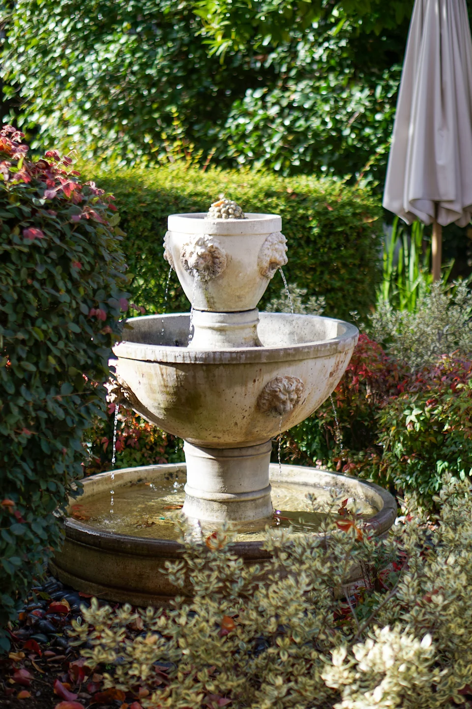 Travel Guide to Sonoma Valley_ Be Inspired to Celebrate The Magic of The Holidays in California's Wine Country