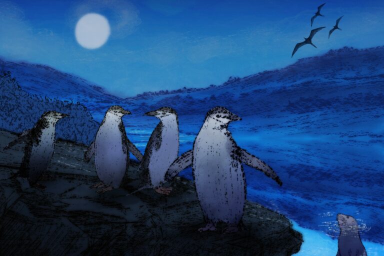 Nodding off is dangerous. Some animals have evolved extreme ways to sleep in precarious environments