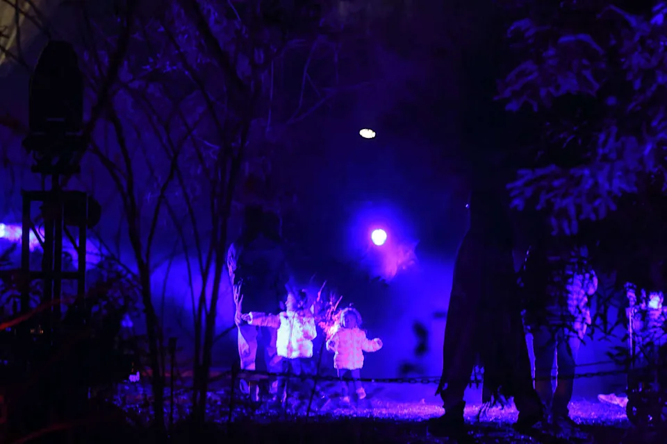 Sisters Adaya Gage, 4, left, and Aurora Gage, 2, run and play while experiencing the Interlace exhibit with their brother, parents and grandparents at Lightscape in the San Francisco Botanical Garden on Nov. 21. (Lea Suzuki/S.F. Chronicle)