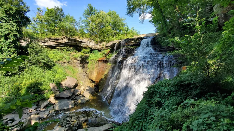 Greenery surrounding Brandywine Falls waterfall