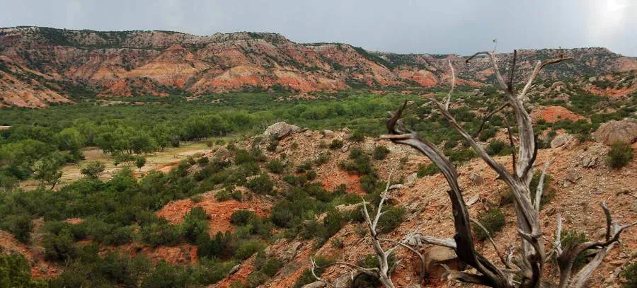 Palo Duro Canyon State Park (Texas Parks and Wildlife Department photo)