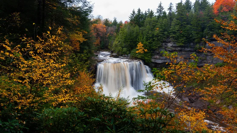 fall foliage waterfall view in Blackwater Falls State Park, Canaan Valley WV