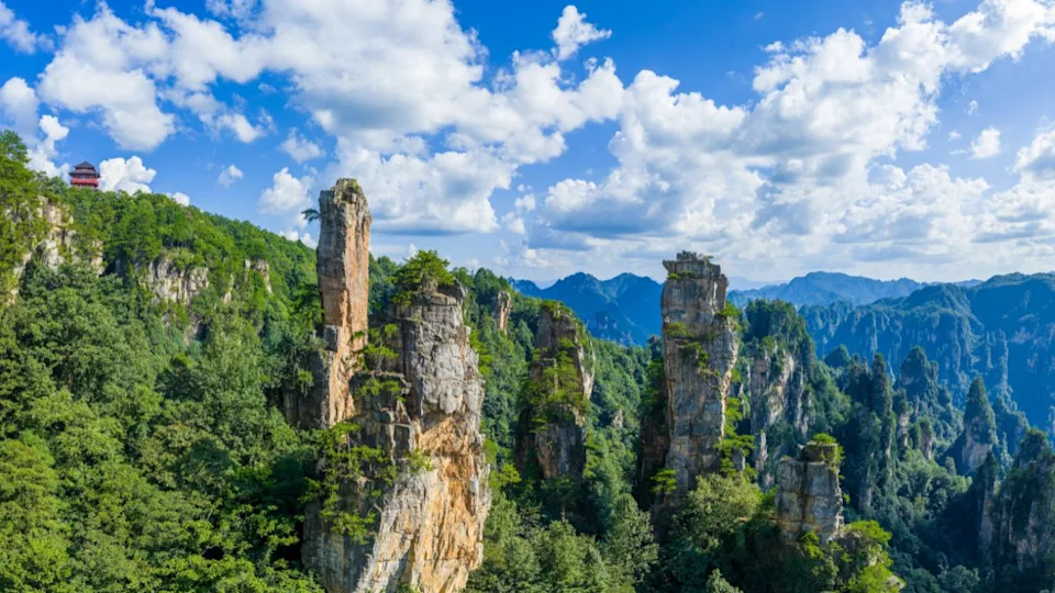 Majestic Zhangjiajie national forest park: towering sandstone pillars emerging from lush green forest, Wulingyuan Scenic Area, Hunan Province, China.
